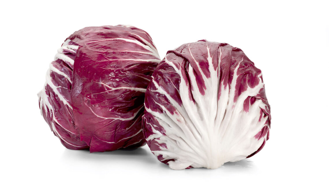 Radicchio trevigiano